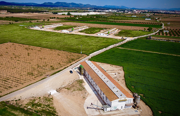 noria